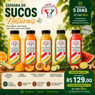Sucos funcionais 300ml - Kit com 5 Sabores