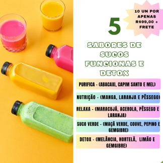 Sucos funcionais 300ml - Kit com 5 Sabores